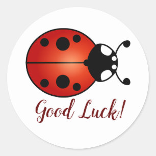 Pegatina Redonda Lucky Ladybug Red Naranja Black Ladybird Buena sue