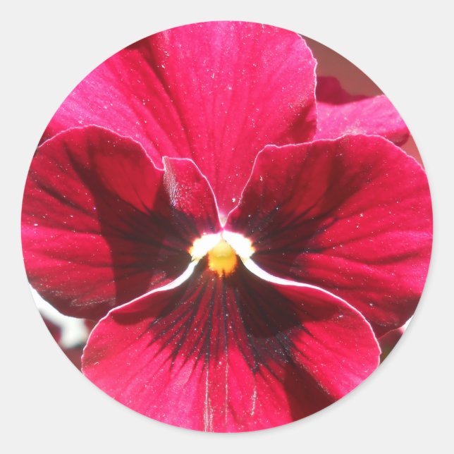 Pegatina Redonda Lucrezia (Anverso)