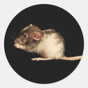 Pegatina Redonda lujuria