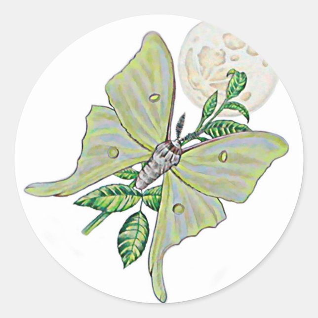 Pegatina Redonda Luna Moth (Anverso)