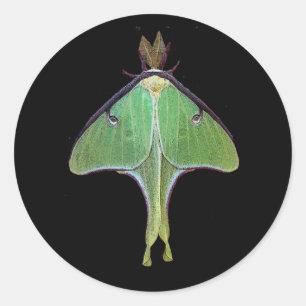 Pegatina Redonda Luna Moth