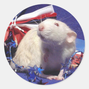 Pegatina Redonda luz solar