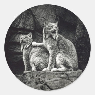 Pegatina Redonda Lynx