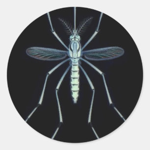 PEGATINA REDONDA M POWER,