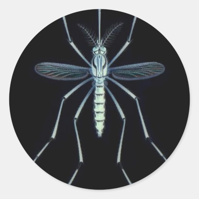 PEGATINA REDONDA M POWER, (Anverso)