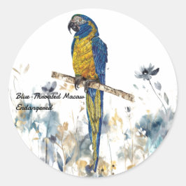 Pegatina Redonda Macao Pintado A Mano En Peligro