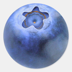 Pegatina Redonda macro Blueberry