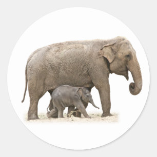 Pegatina Redonda Madre e hijo elefante