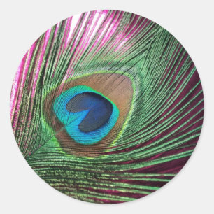 Pegatina Redonda Magenta Peacock