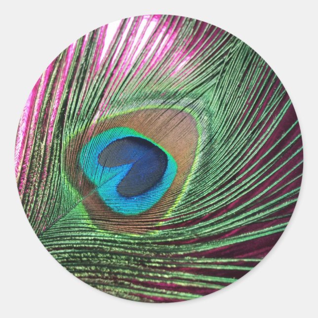Pegatina Redonda Magenta Peacock (Anverso)