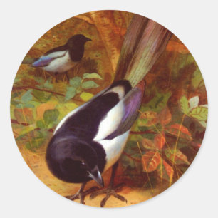 Pegatina Redonda Magpies