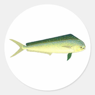 Pegatina Redonda Mahi Mahi - Arte de peces delfines