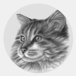 Pegatina Redonda Maine Coon Cat