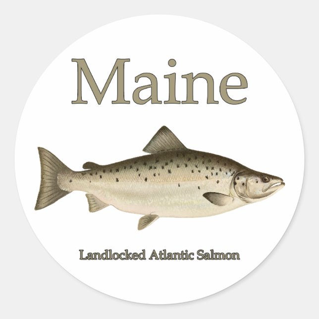 Pegatina Redonda Maine Landlocked Salmon (Anverso)