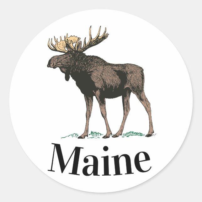 Pegatina Redonda Maine Moose (Anverso)