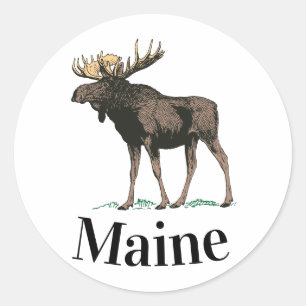 Pegatina Redonda Maine Moose