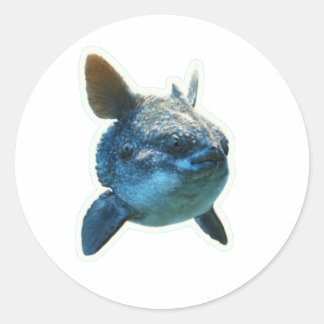 Pegatina Redonda Majestic Ocean Sunfish (Mola Mola) Sticker - Bali 