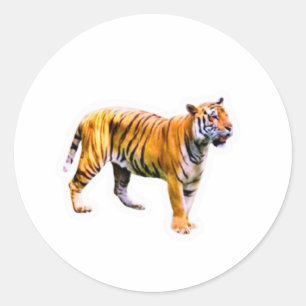 Pegatina Redonda Majestuoso Tigre de Sumatra - Conservación de Vida