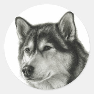 Pegatina Redonda Malamute de Alaska