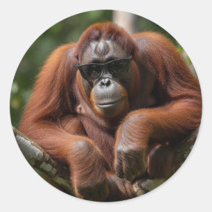 Pegatina Redonda Malasia Orangutan con gafas de sol