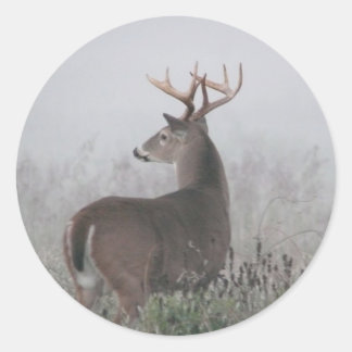 Pegatina Redonda malhechor