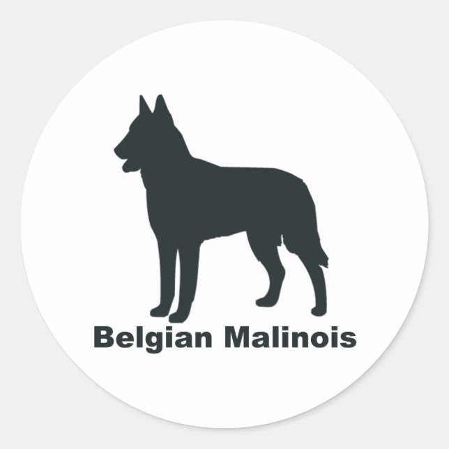Pegatina Redonda Malinois belga (Anverso)
