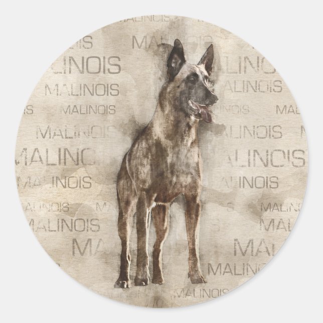Pegatina Redonda Malinois belga - Mechelaar - Maligator (Anverso)