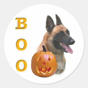 Pegatina Redonda Malinois Boo de Bélgica