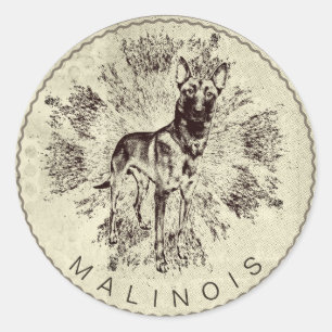 Pegatina Redonda Malinois - pastor belga - Mechelaar - Maligator