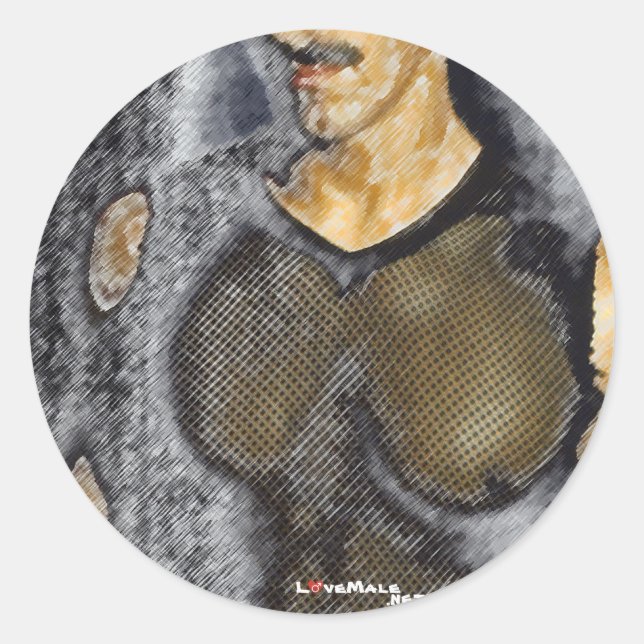 Pegatina Redonda malla (Anverso)