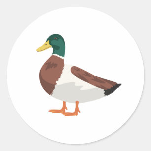 Pegatina Redonda Mallard Duck