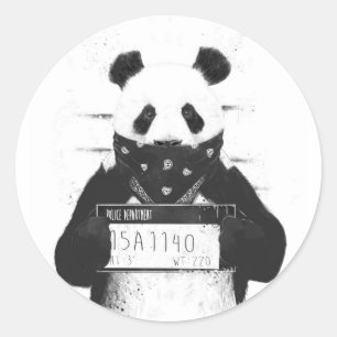 Pegatina Redonda Malo panda