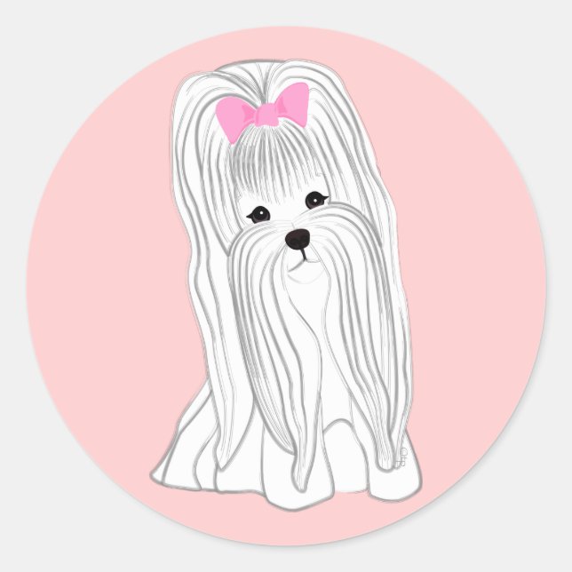 Pegatina Redonda Maltés (Anverso)