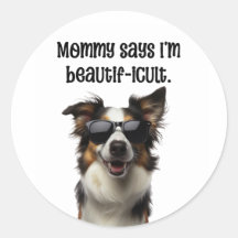 Mamá dice que soy un Border Collie divertidamente 