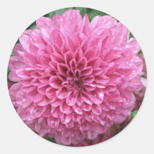 Pegatina Redonda Mamá rosa