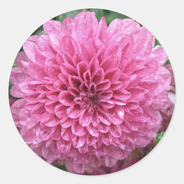 Pegatina Redonda Mamá rosa (Anverso)