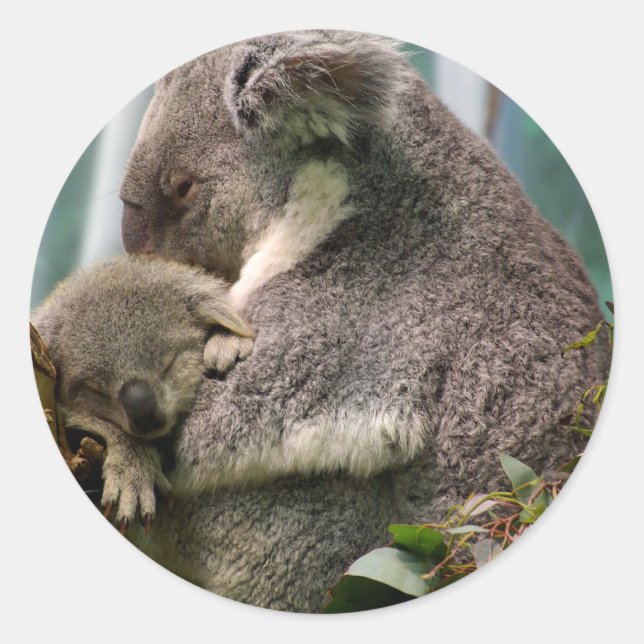 Pegatina Redonda Mamá y Recién nacido de Koala (Anverso)