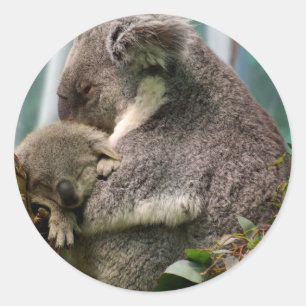 Pegatina Redonda Mamá y recién nacido de la koala