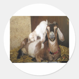 Pegatina Redonda Mami y Baby Goat