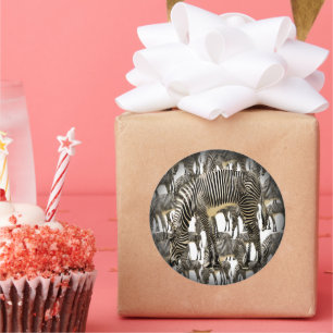 Pegatina Redonda Manadas de Cebras