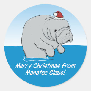 Pegatina Redonda Manatee Claus, gracioso y gracioso