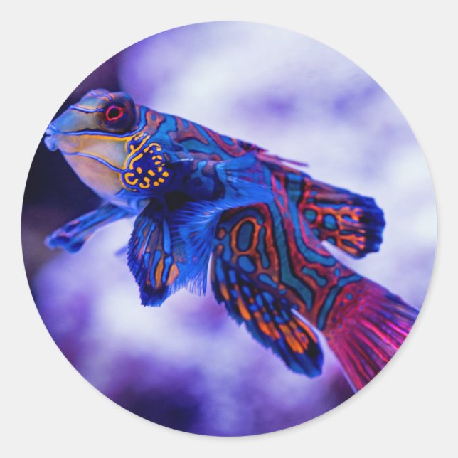Pegatina Redonda Mandarin Goby Fish (Anverso)