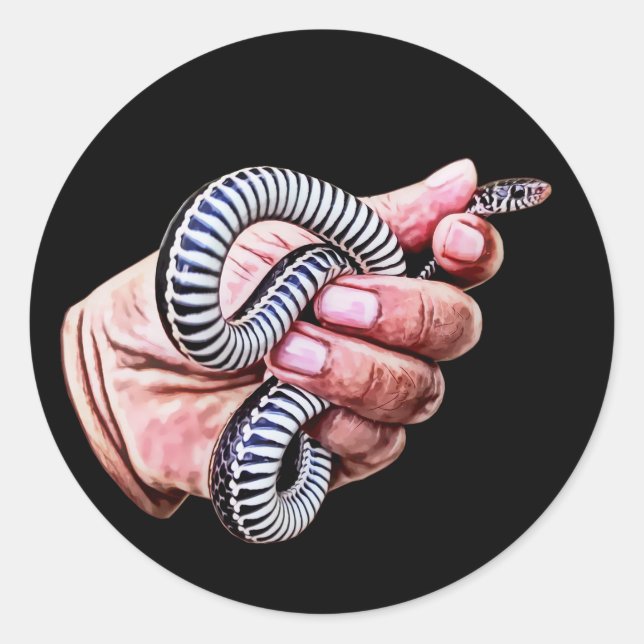 Pegatina Redonda mano sujetando animales de reptiles de serpiente (Anverso)