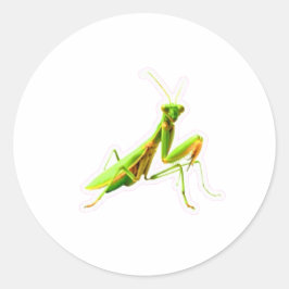 Pegatina Redonda Mantis religiosa verde majestuosa Sticker - Cazado