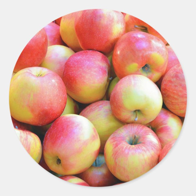 Pegatina Redonda Manzanas rojas y amarillas frescas (Anverso)