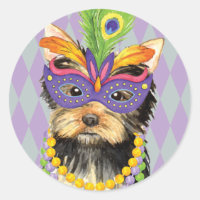 Mardi Gras Yorkie