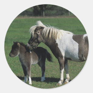 Pegatina Redonda Mare & Foal Standing en miniatura