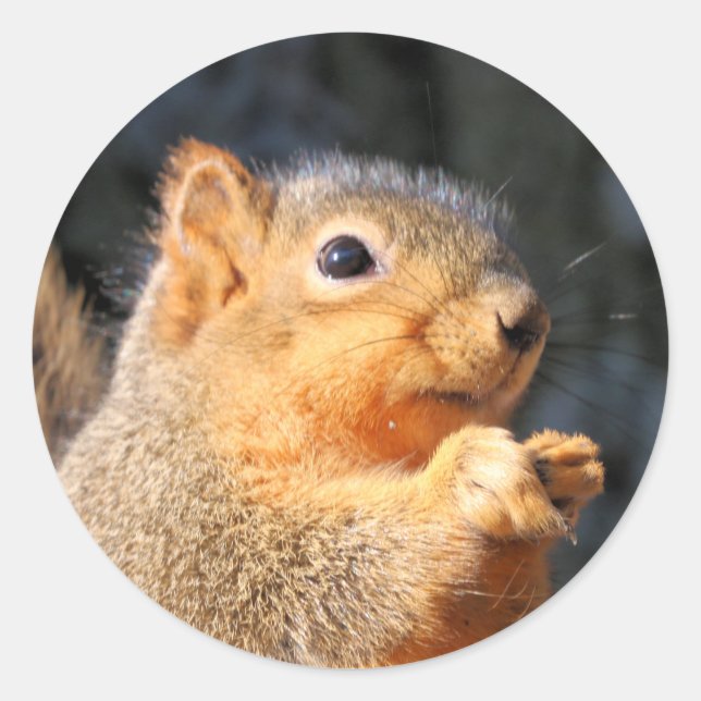 Pegatina Redonda Mareado (Anverso)