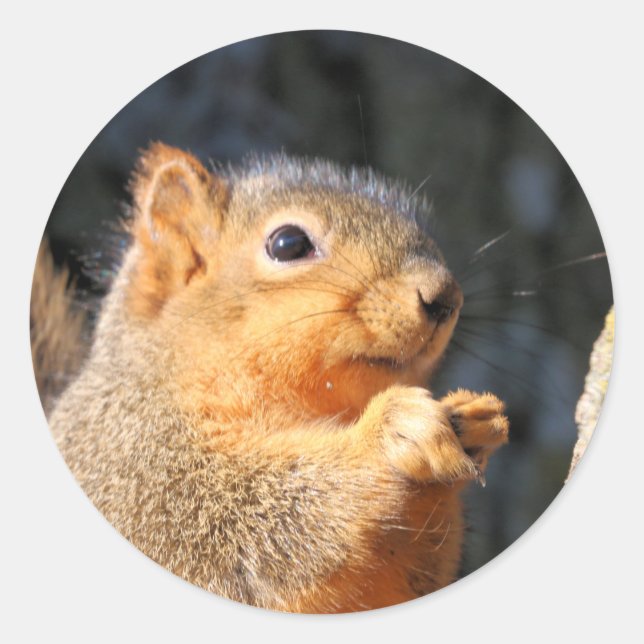 Pegatina Redonda Mareado (Anverso)