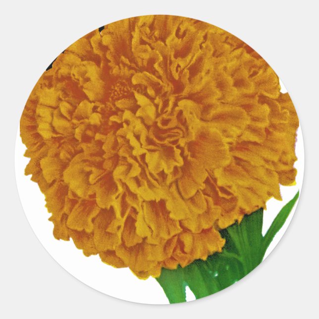 Pegatina Redonda Marigold Vintage Seed Packet (Anverso)